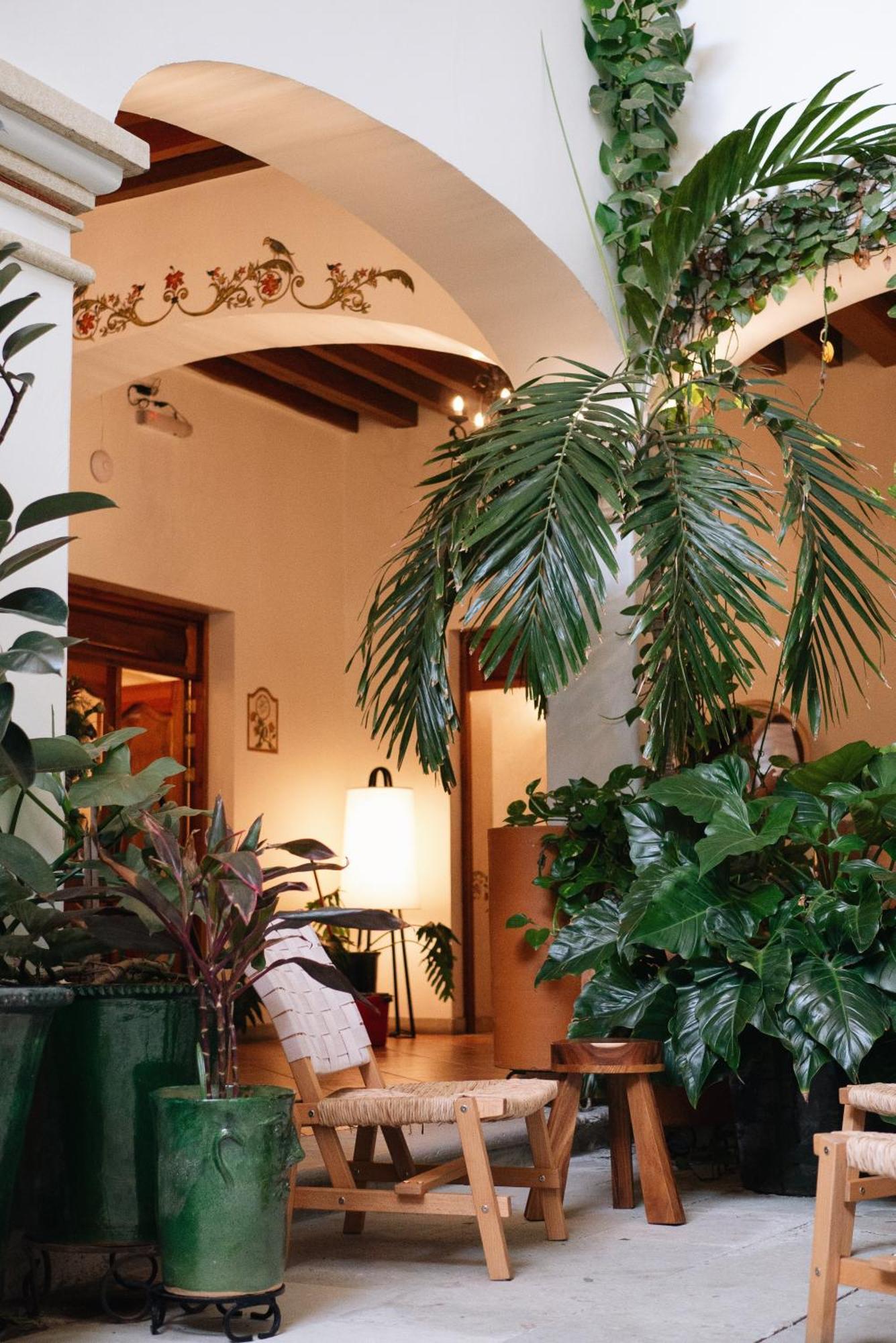 Los Pilares Hotel Oaxaca Exterior photo