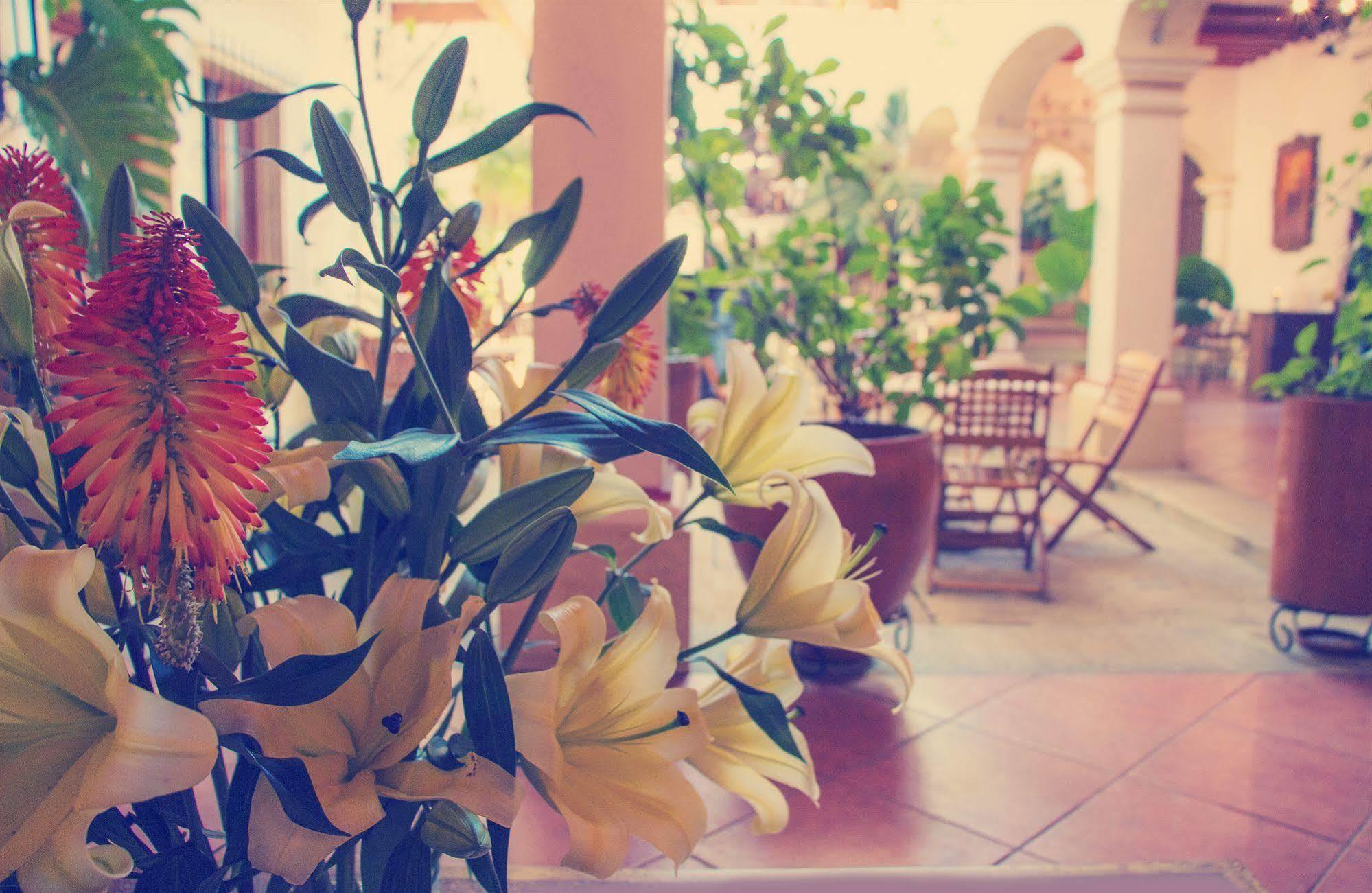 Los Pilares Hotel Oaxaca Exterior photo